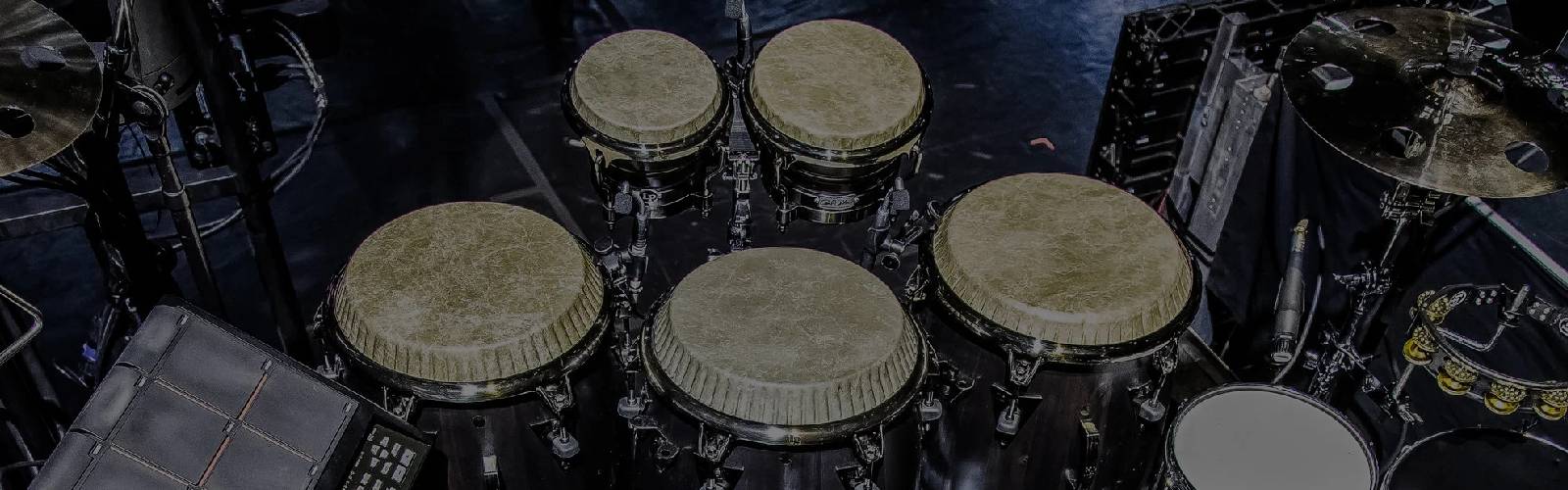 Bongos & Congas