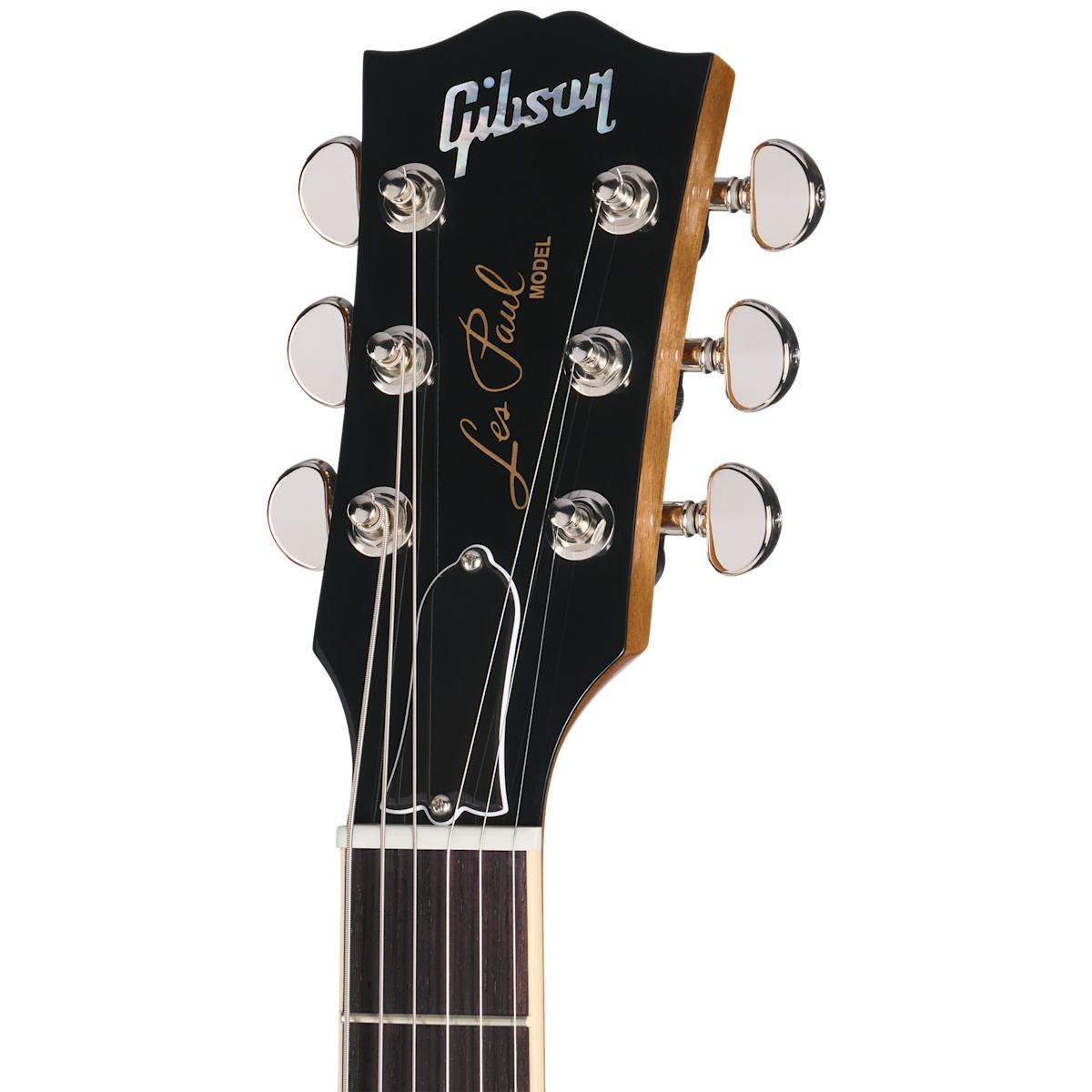 Gibson Les Paul Standard 60s Double Trouble LP Electric Guitar Vintage Tobacco Burst - LPS6DCW25VONH1