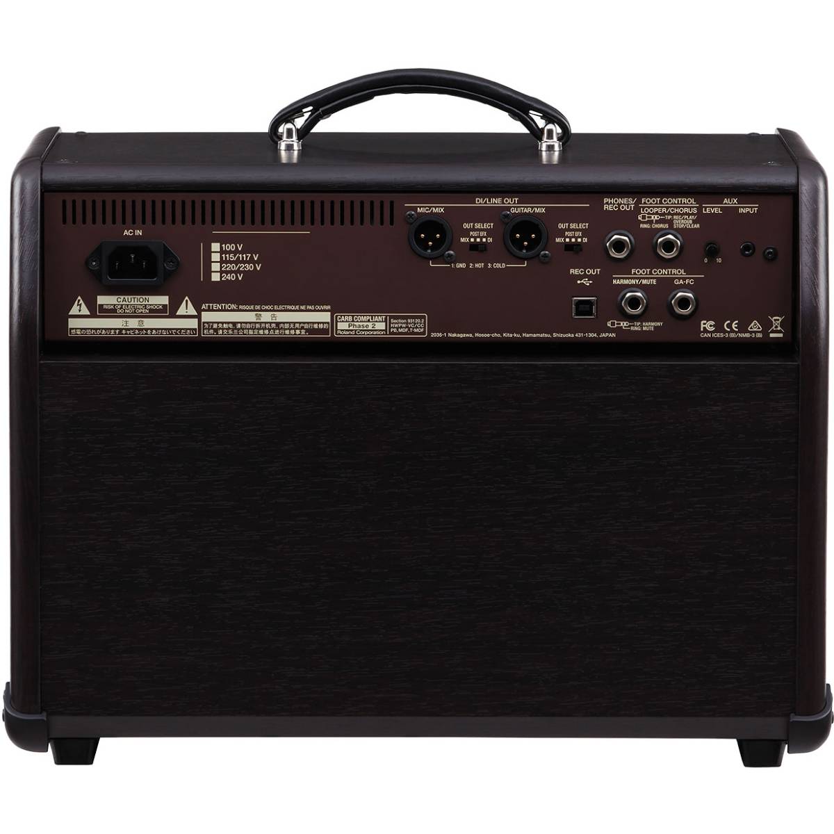 Boss Acoustic Singer Pro Guitar Amplifier 120w Combo Amp