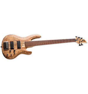 ESP LTD B-205SM Fretless Bass Guitar 5-String Natural Satin Spalted Maple Top w/ Active EQ