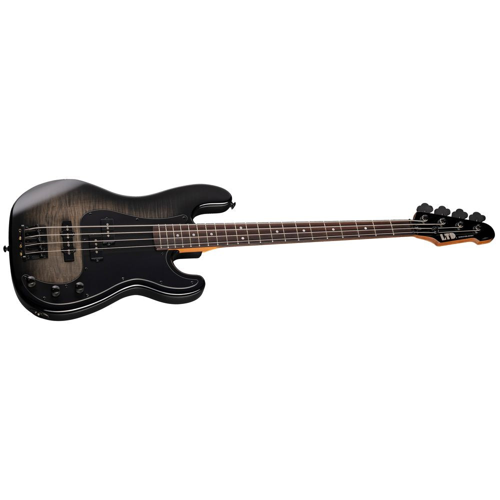 ESP LTD SURVEYOR-204DX Bass Guitar Black Burst