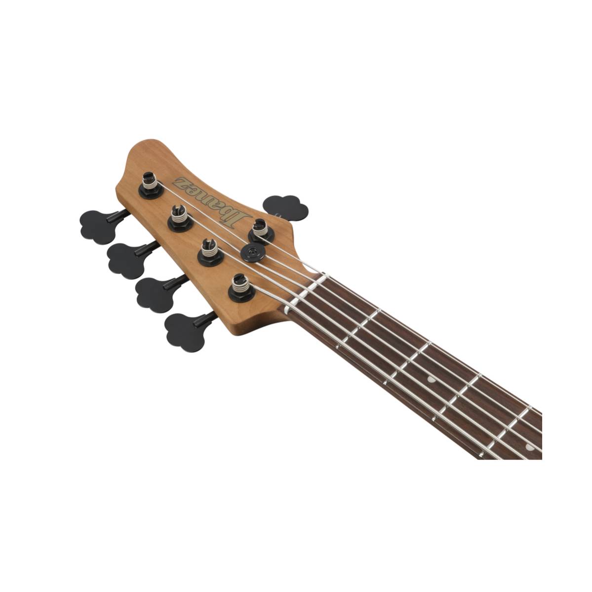 Ibanez MDM1605 Bass Guitar 5-String Deep Twilight