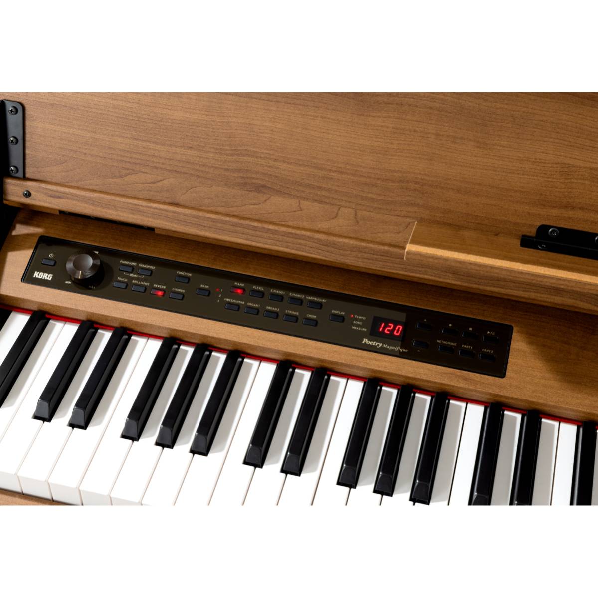 Korg Poetry Digital Piano 88-Note Hammer Action - Magnifique