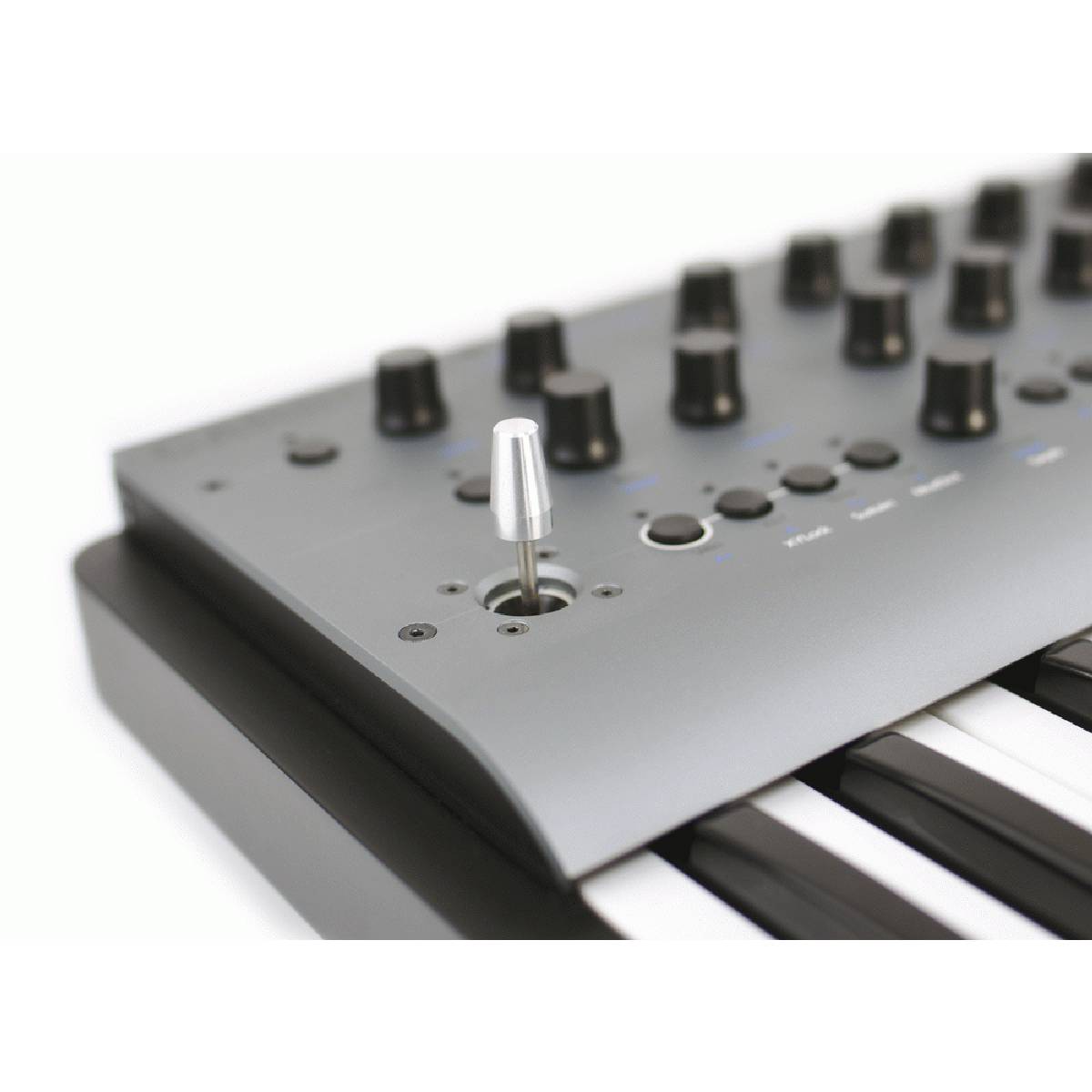 Modal Electronics CARBON8 Synthesiser 37-Note 8-Voice Experimental Synth