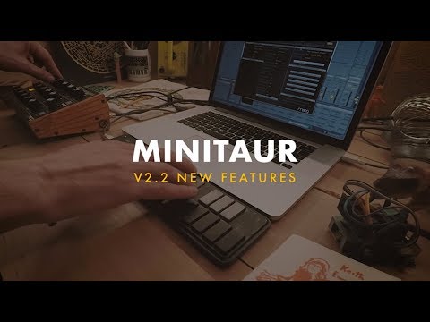 Moog Minitaur Analogue Bass Synthesizer Module