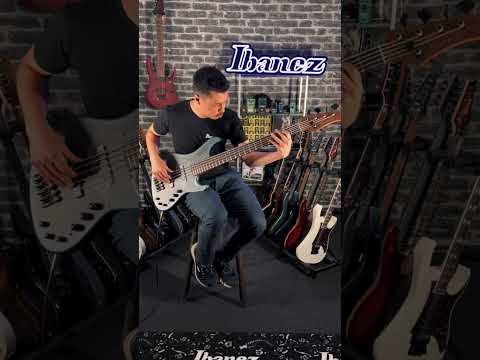 Ibanez MDM1005 Bass Guitar 5-String Midnight Arctic Ocean Matte