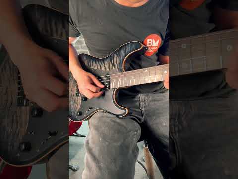 Source Audio Encounter Delay & Reverb Effects Pedal