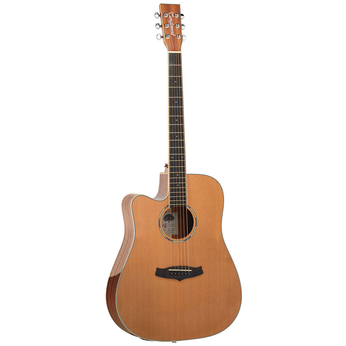 Tanglewood TW5CENALH Winterleaf Acoustic Guitar Dreadnought Left Handed w/ Cutaway & Pickup