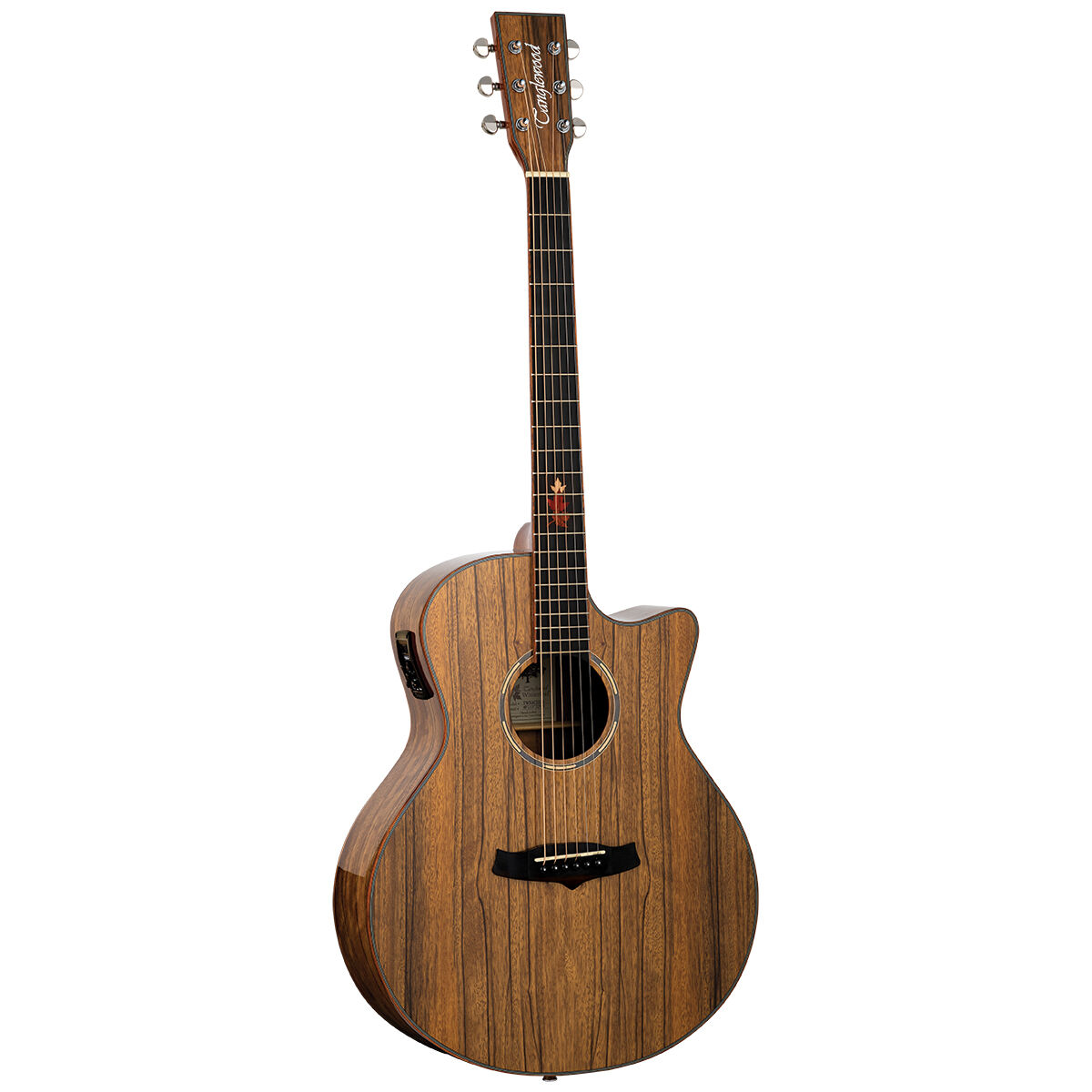 Tanglewood TWX6CEBW Winterleaf Exotic Acoustic Guitar Superfolk Black Walnut w/ Cutaway & Pickup
