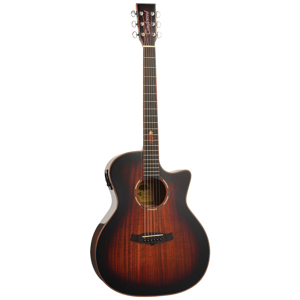 Tanglewood TWX6CEK Winterleaf Exotic Acoustic Guitar Grand Auditorium Koa w/ Cutaway & Pickup