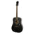 Epiphone DR-100 Acoustic Guitar Square Shoulder Dreadnought Ebony - EA10EBCH1