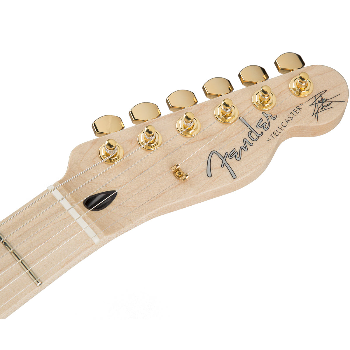 Fender Richie Kotzen Signature Telecaster Electric Guitar Maple Fingerboard Brown Sunburst w/ Dimarzio - MIJ 5255200332