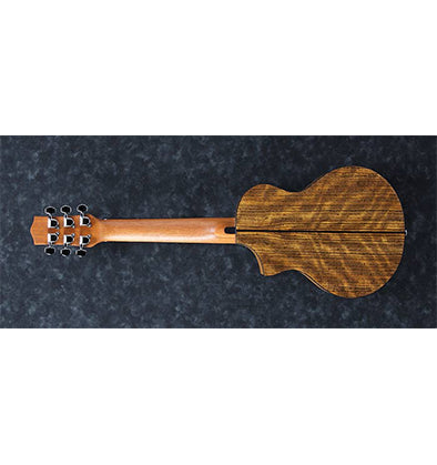 Ibanez EWP14WB OPN Acoustic Guitarlele Open Pore Natural w/ Cutaway & Gig Bag