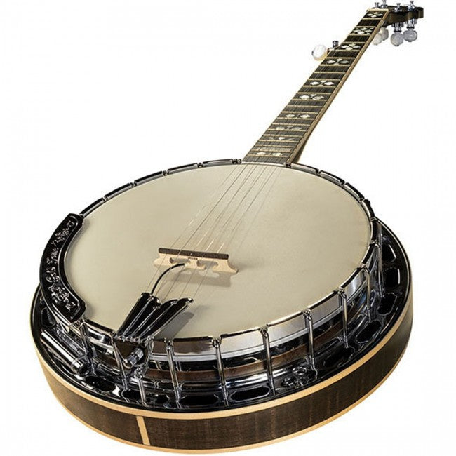 LR Baggs Banjo Pick-up