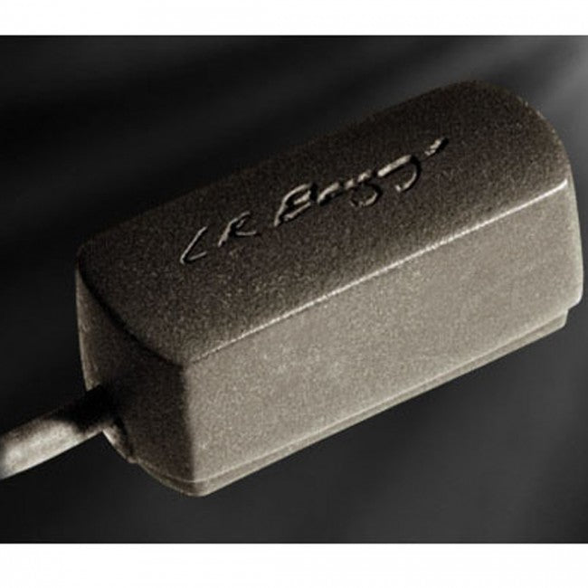 LR Baggs RADM Radius Mandolin Pickup