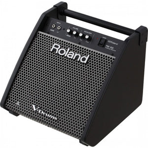 Roland PM-100 Monitor