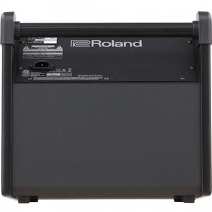 Roland PM-100 Speaker