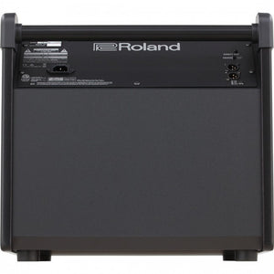 Roland PM-200 Speaker