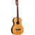 Tanglewood Java Parlour Acoustic Electric Guitar Natural
