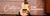 Blackstar Carry On Guitars & Accessories