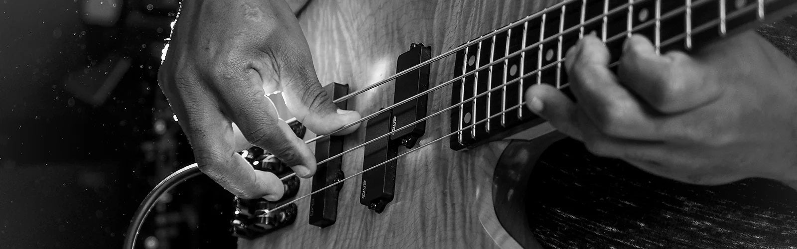 Bass Guitars