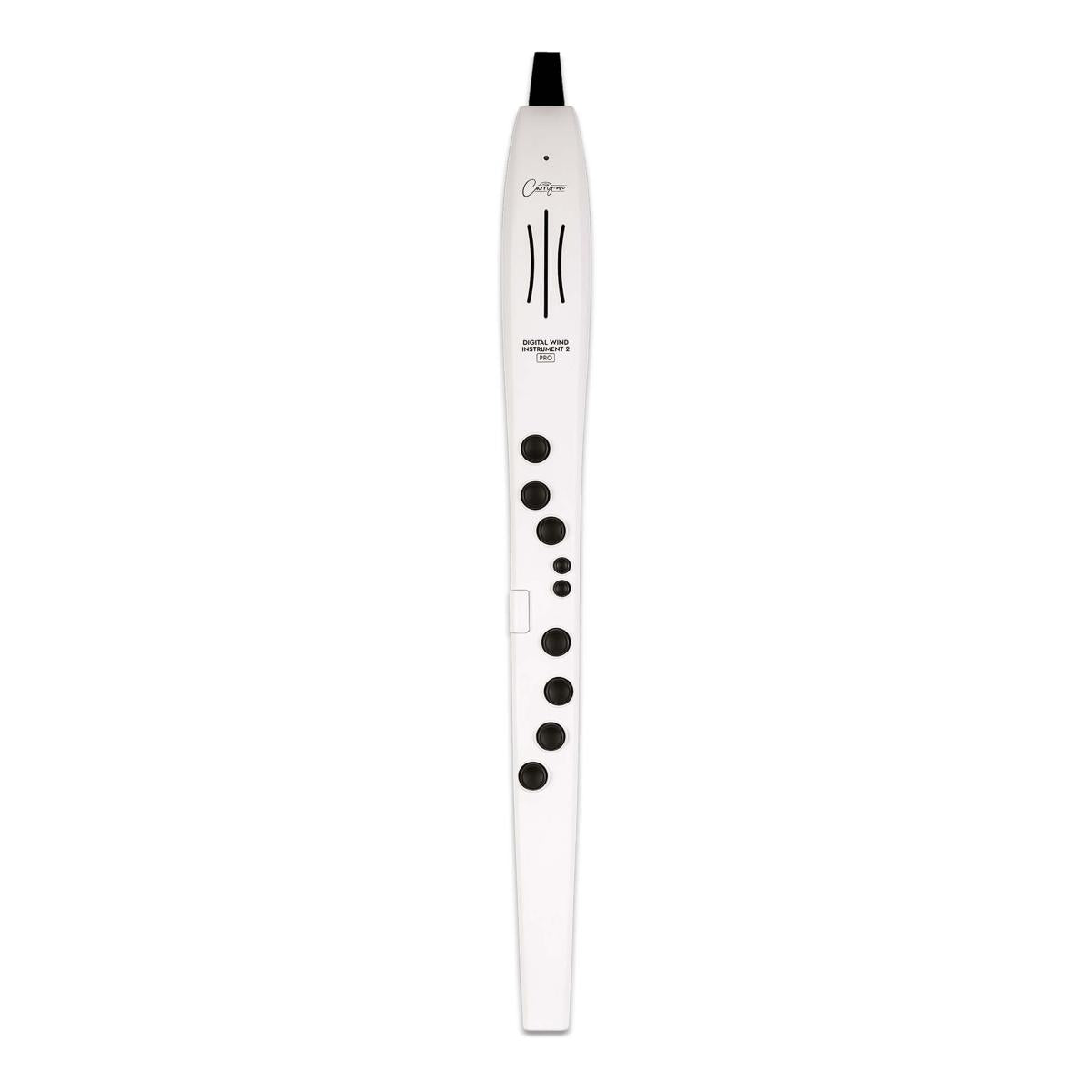 Blackstar Carry-On Digital Wind Instrument 2 Pro w/ MIDI over Bluetooth & USB