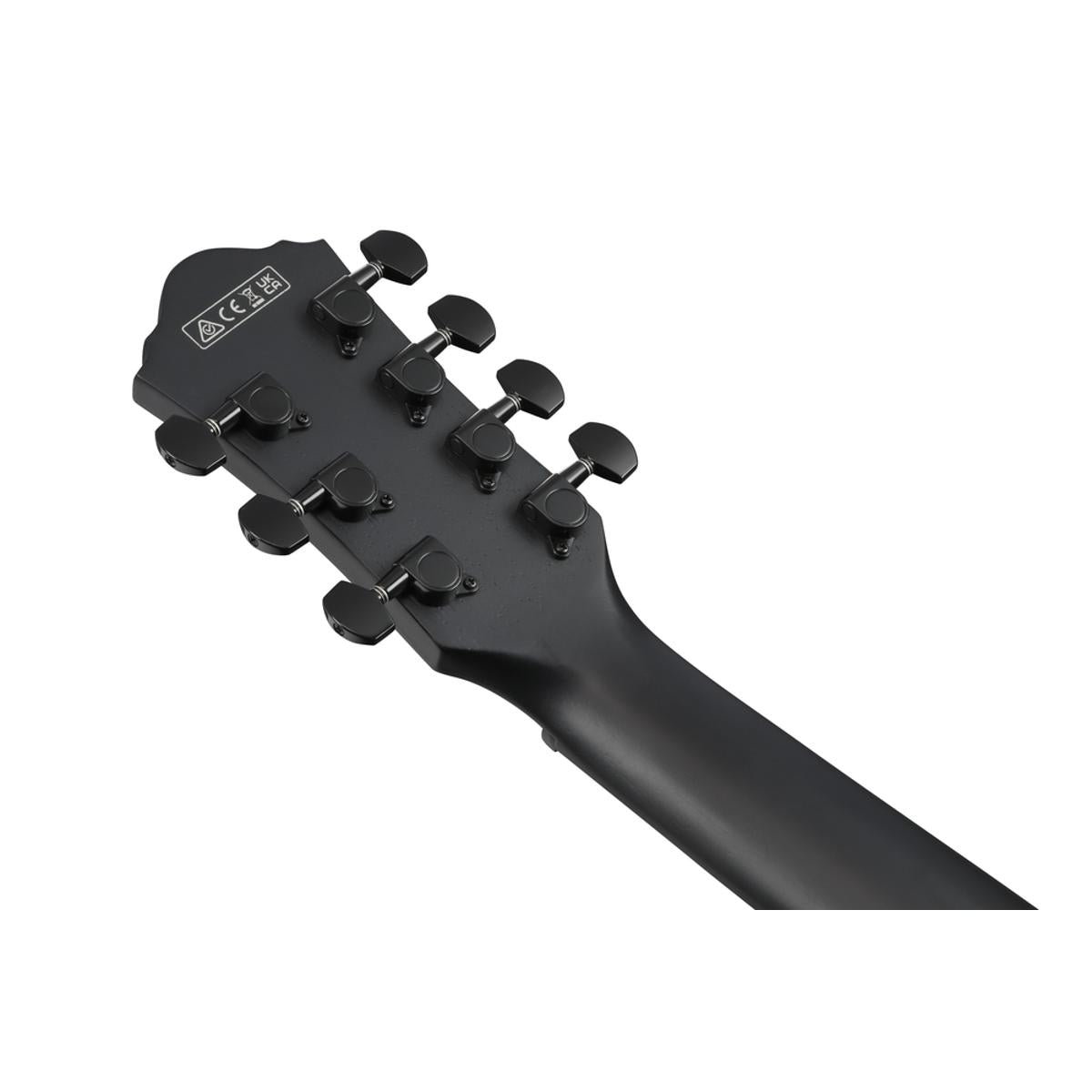 Ibanez AEG721 Acoustic Guitar Black Out