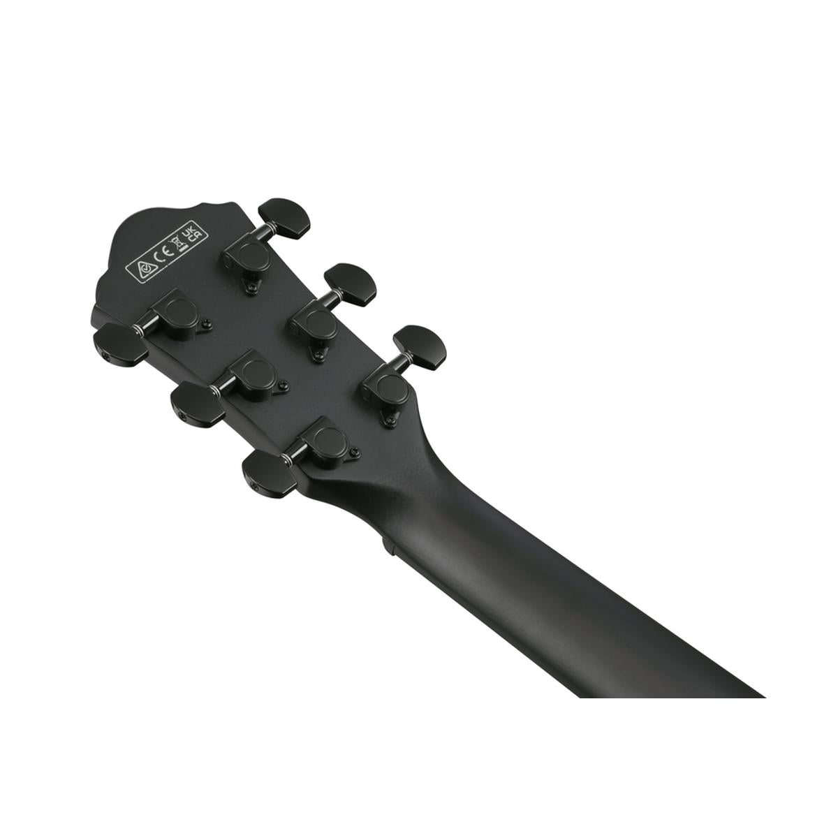 Ibanez AEWC621 Acoustic Guitar Black Out w/ Pickup