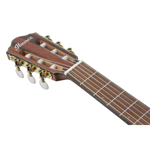Ibanez FRH10N BSF Nylon String Guitar Brown Sunburst Flat w/ Pickup
