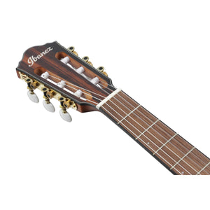 Ibanez FRH10N NTF Nylon String Guitar Natural Flat w/ Pickup