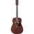 Ibanez PF14JROPN Acoustic Guitar Open Pore Natural w/ Gigbag