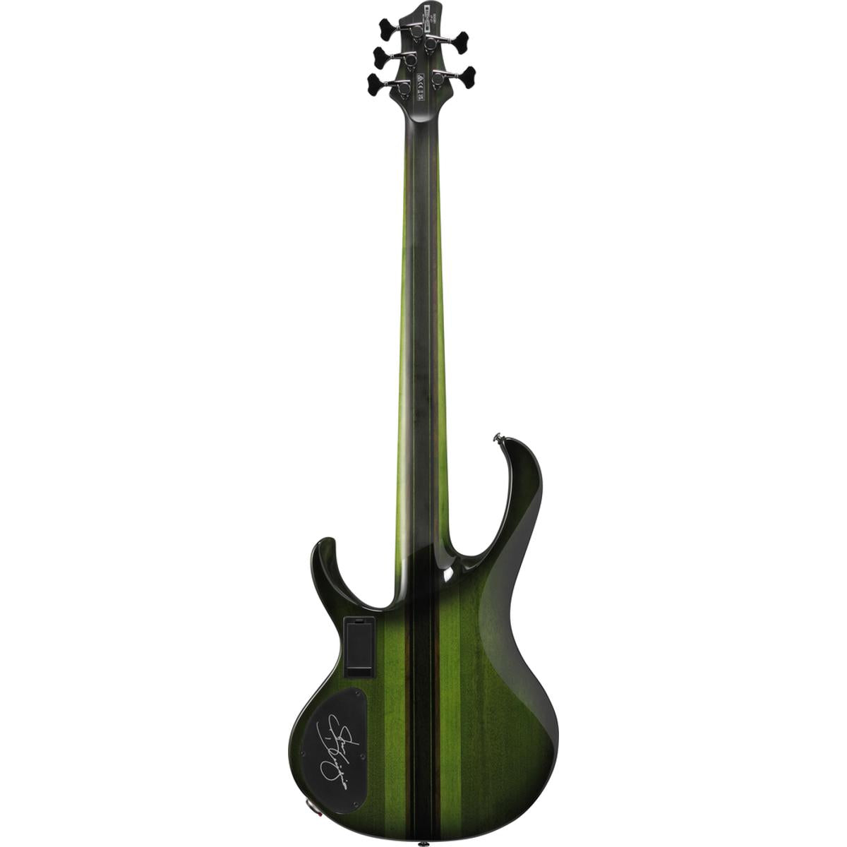 Ibanez SDGB1DMT Bass Guitar 5-String Fretless Dark Moss Burst