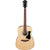 Ibanez V40 Acoustic Guitar Dreadnought Open Pore Natural - V40-OPN