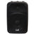 Italian Stage SPX10AUB 10inch 2-Way Powered Speaker w/ Media Player