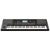 Korg PA300 Arranger Keyboard