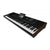 Korg PA5X-76 Professional Arranger Keyboard 76-Key - Oriental Edition