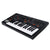 Moog Messenger Monophonic Analog Keyboard Synthesizer