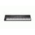 Native Instruments NI Komplete Kontrol S88 MK3 + Komplete 15 Ultimate Software