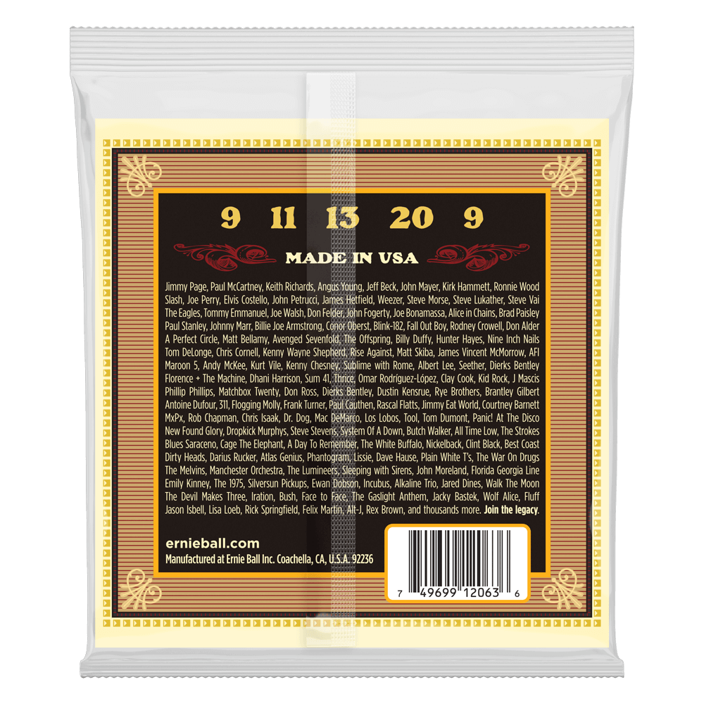 Ernie Ball 2063 Earthwood 5-String Banjo Strings Bluegrass 80/20 Bronze 9-20 (Loop End)