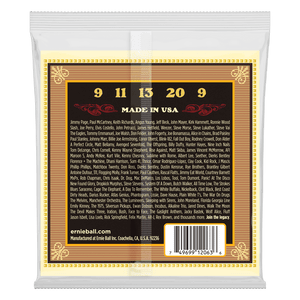 Ernie Ball 2063 Earthwood 5-String Banjo Strings Bluegrass 80/20 Bronze 9-20 (Loop End)