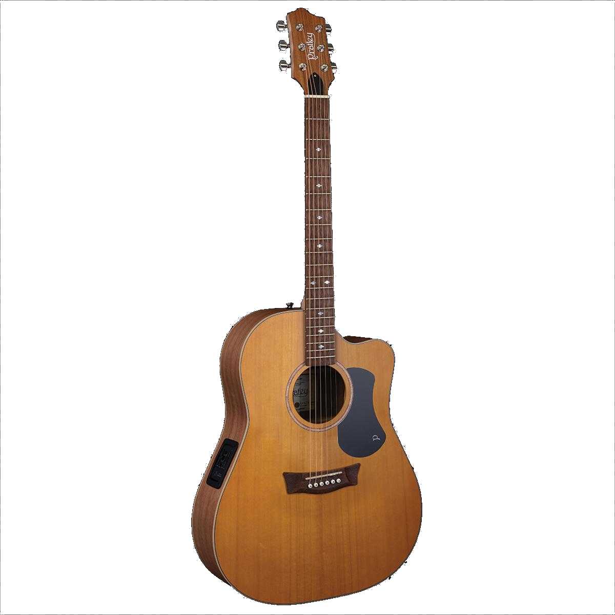 Pratley Premier Dreadnought Acoustic Guitar All Solid Fig Top, Maple Back &amp; Sides w/ Cutaway &amp; Pickup