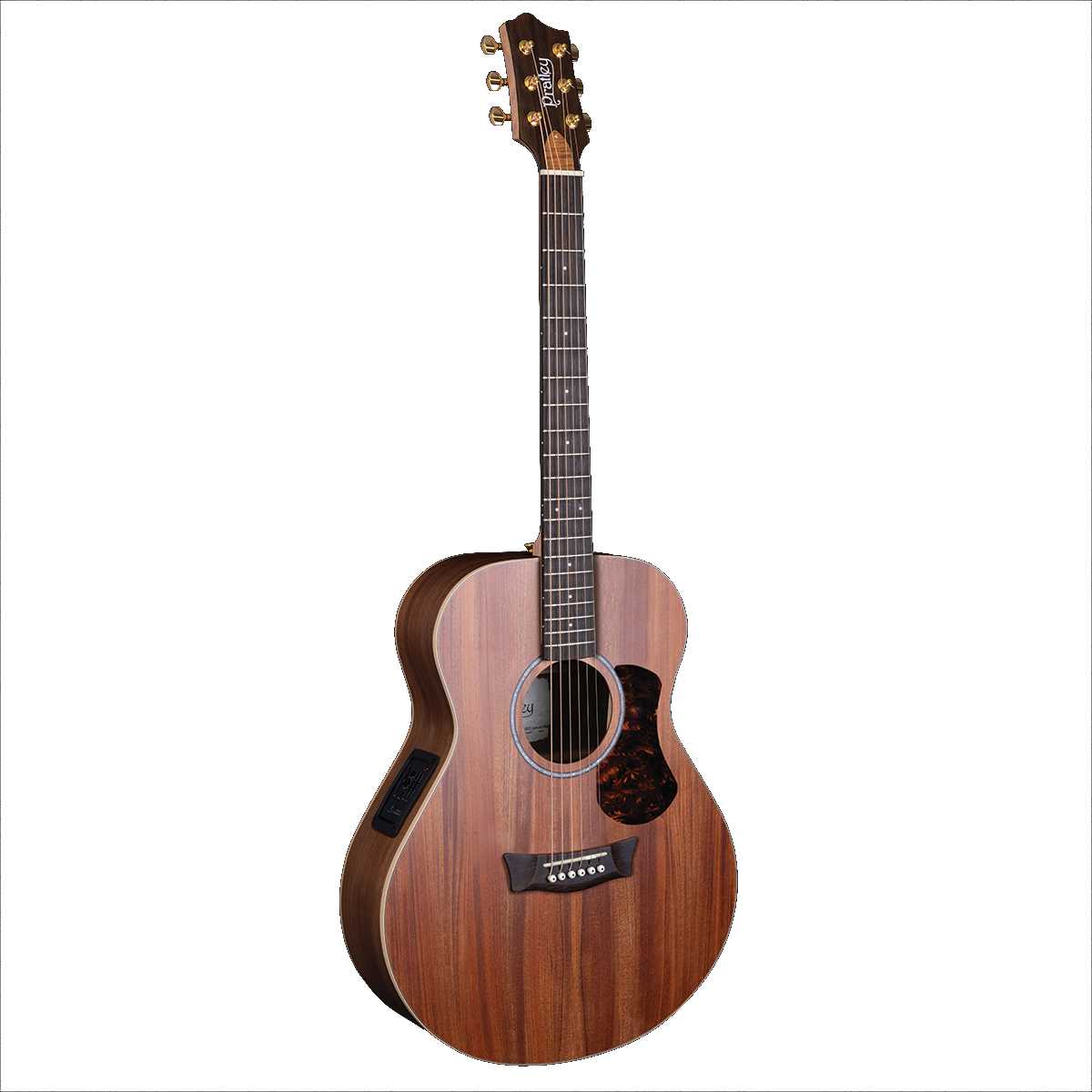 Pratley Studio Series Concert Acoustic Guitar All Solid Australian Cedar Top, Blackwood Back & Sides w/ Pickup