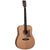 Tanglewood TRU5-HR Reunion Pro Acoustic Guitar Solid Cedar Top Dreadnought Acoustic Guitar