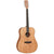 Tanglewood Union Dreadnought Solid Top Acoustic Guitar Natural Satin