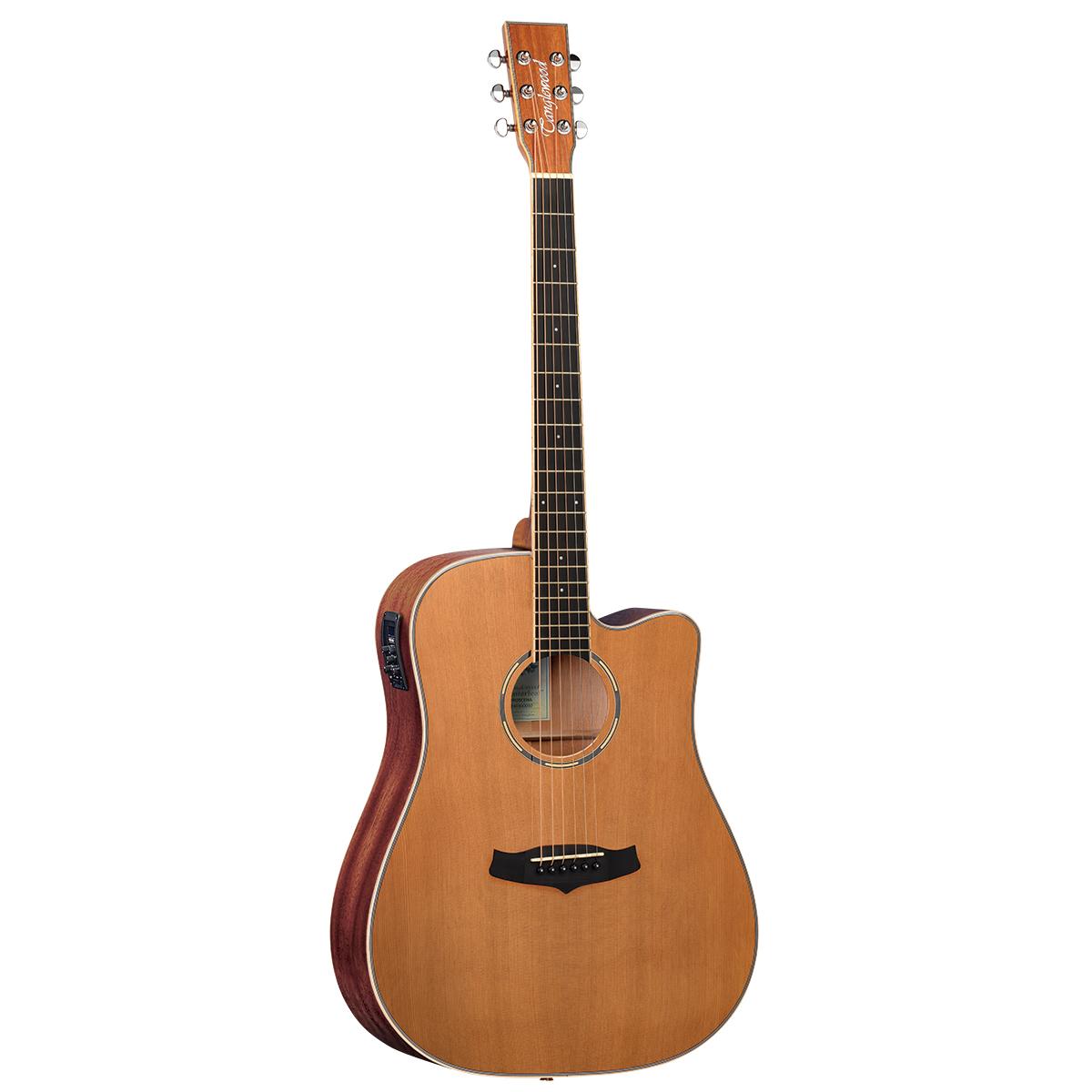 Tanglewood TW5CENA Winterleaf Acoustic Guitar Dreadnought w/ Cutaway & Pickup