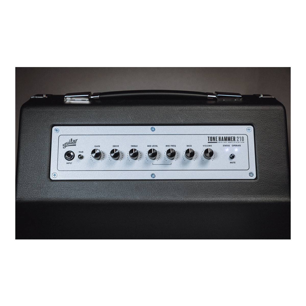 Aguilar Tone Hammer 210 Combo Bass Guitar Amplifier 300w 2x10" Amp