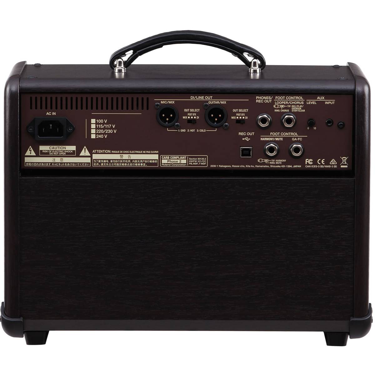 Boss Acoustic Singer LIVE Guitar Amplifier 60w Combo Amp