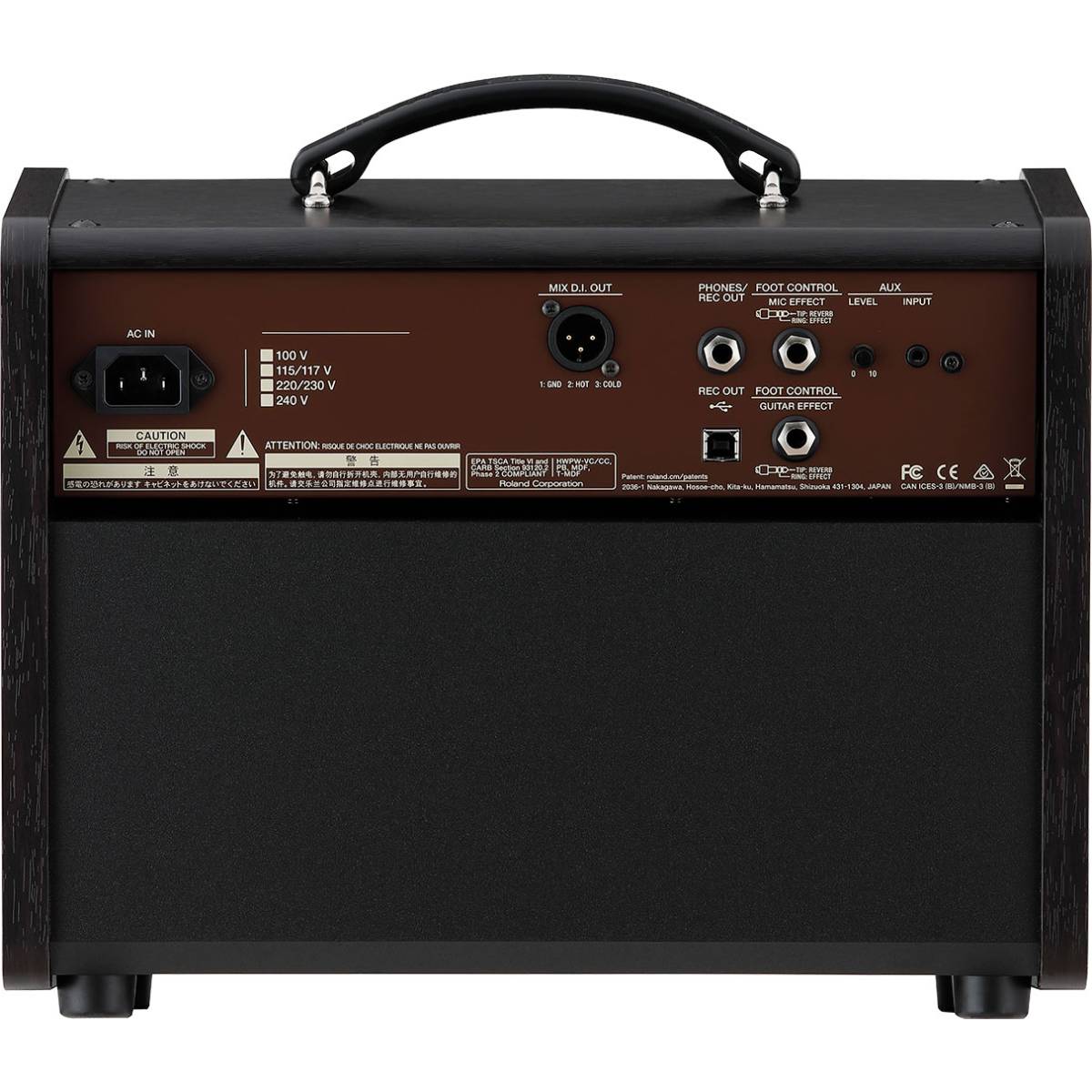 Boss Acoustic Singer LIVE LT Guitar Amplifier 60w Combo Amp