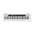 Casio CT-S200 Casiotone Digital Keyboard White