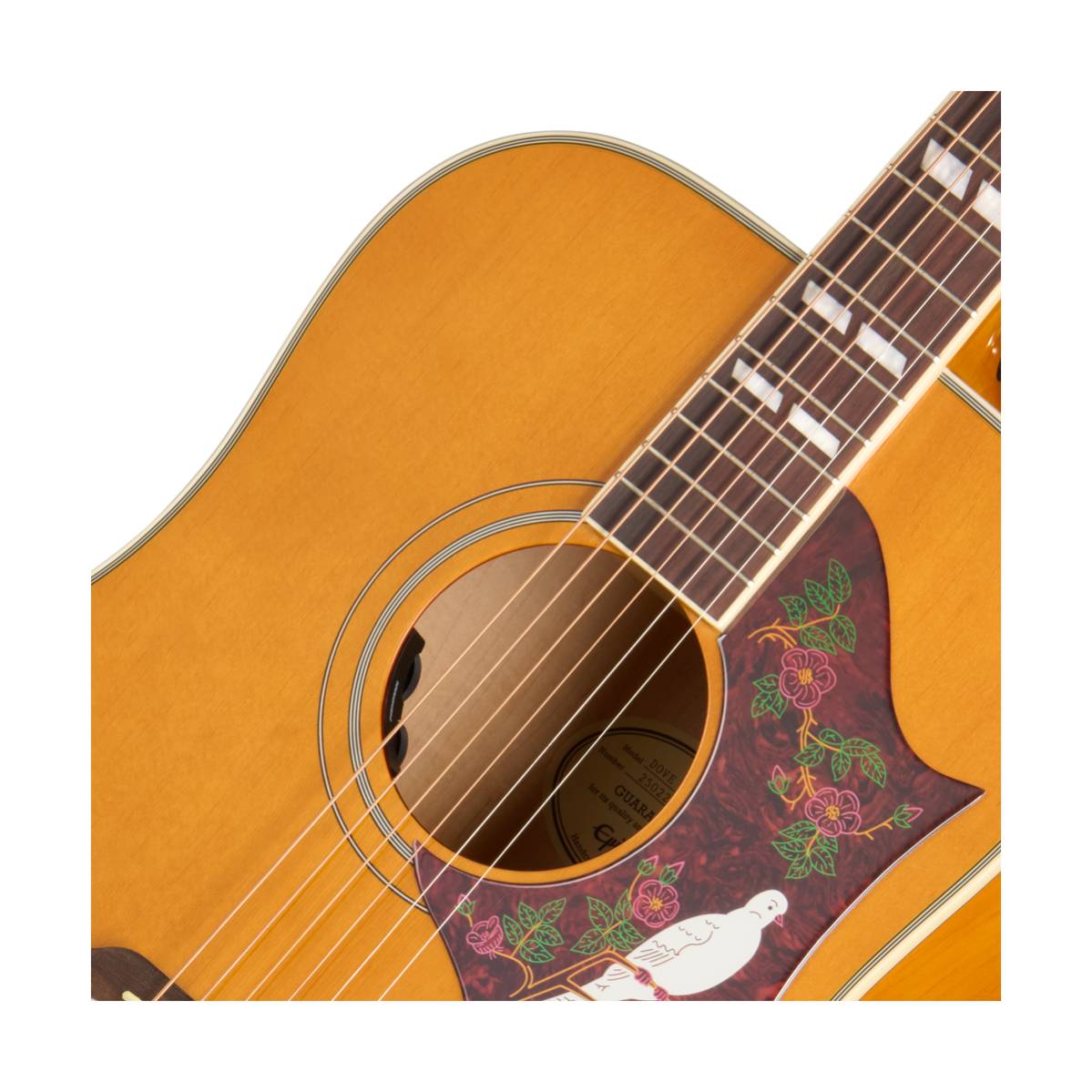 Epiphone Dove Studio Acoustic Guitar Natural w/ Pickup - EASDVANNH1